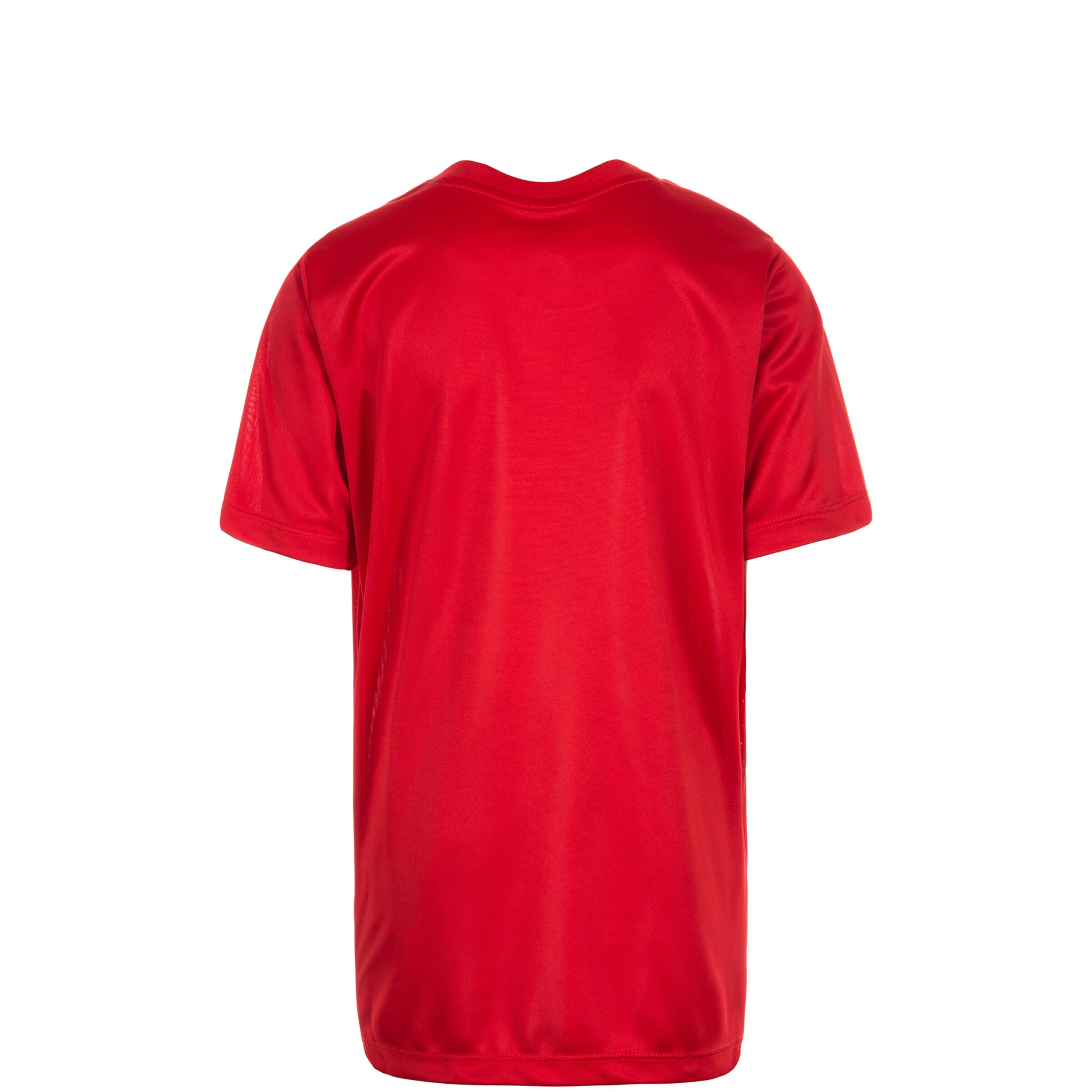 NIKE Funktionsshirt 'Park VI' in Rot