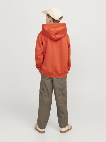 Jack & Jones Junior Loosefit Broek 'JPSTKarl JJAdams' in Bruin