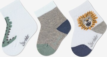 STERNTALER Socken in Grau: predná strana