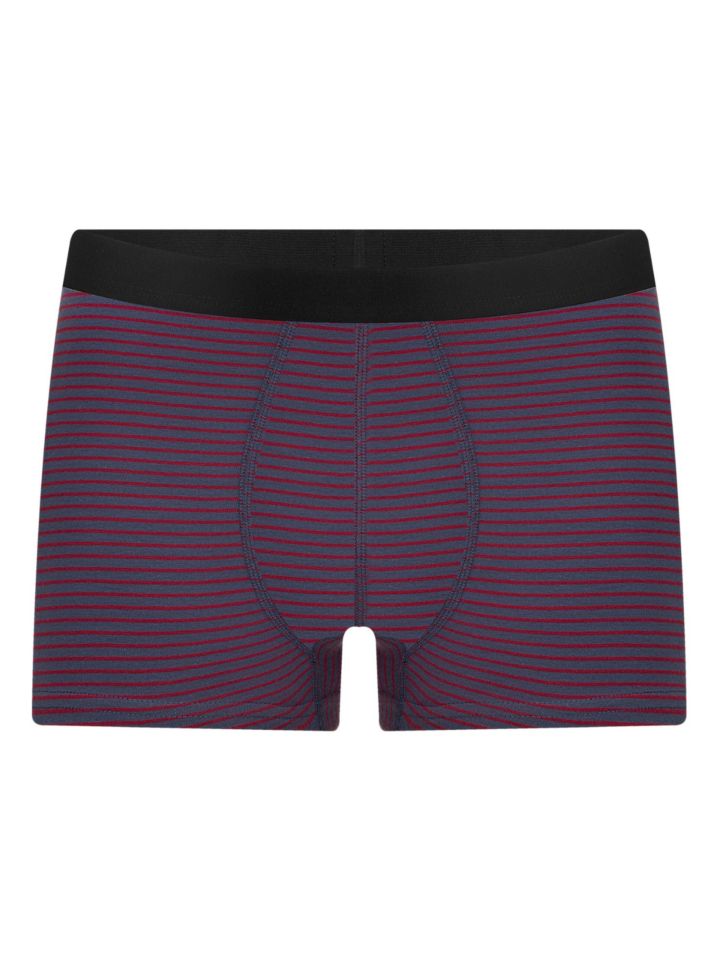 Albero Natur Boxershorts 'Herren Trunkshorts aus Bio-Baumwolle'‌‌ in Lila: Vorderseite