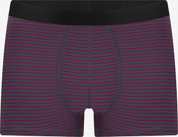 Albero Natur Boxershorts 'Herren Trunkshorts aus Bio-Baumwolle' in Lila: Vorderseite