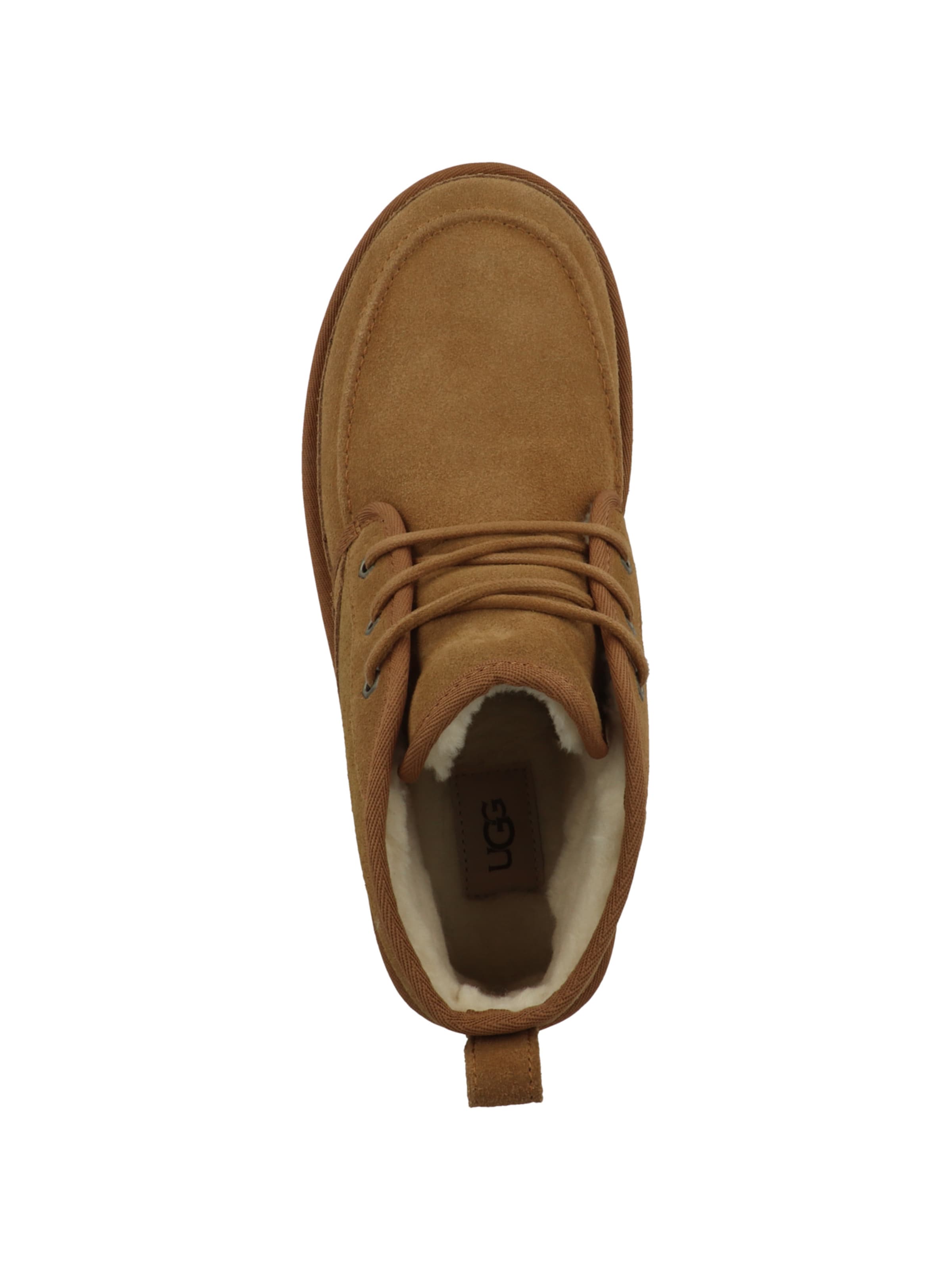 UGG - Botas chukka 'NEUMEL MOC' em castanho