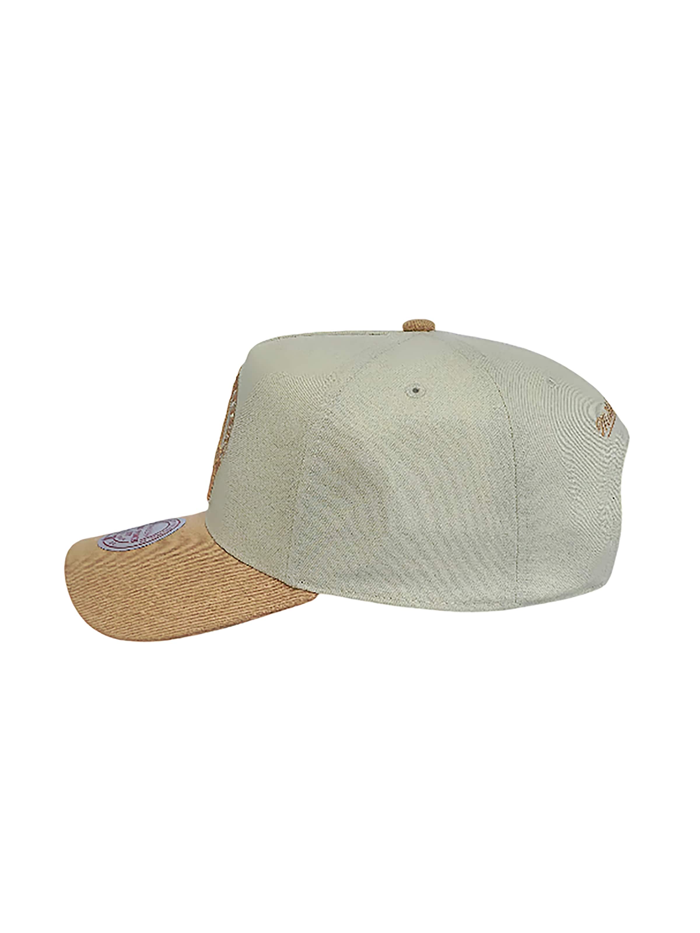 Mitchell & Ness Cap 'Boston Celtics Dust Pro' in Beige