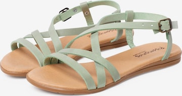 Pisamonas Sandals in Green: front
