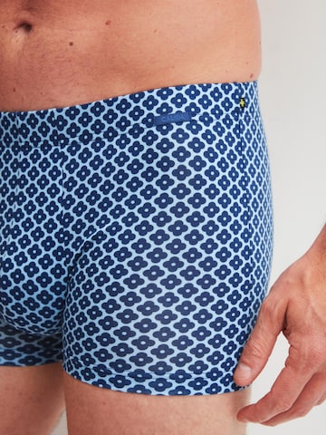 CALIDA Boxer shorts 'Focus Trend' in Blue