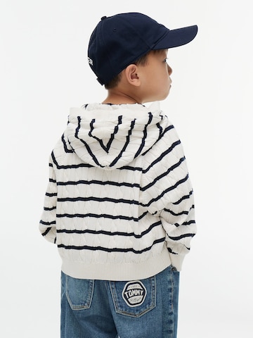 TOMMY HILFIGER Pullover in Weiß