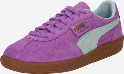 PUMA Matalavartiset tennarit 'Palermo' värissä minttu / orkkidea, Tuotenäkymä
