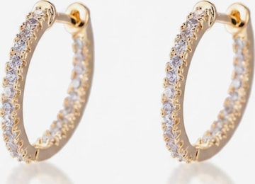 Cala Rose Oorbellen 'HANNAH' in Goud: voorkant