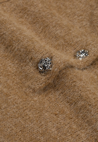 Fabienne Chapot Pullover in Braun