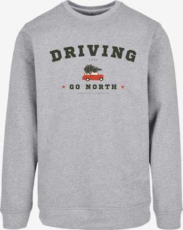 Sweat-shirt F4NT4STIC en gris : devant