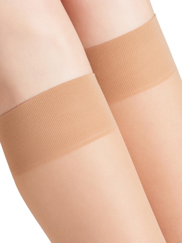 FALKE Overknee Strümpfe 'Matt Deluxe'‌‌‌‌‌‌‌‌‌‌ in Gold