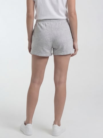 Antargo Regular Pants in Grey