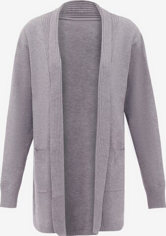 aleva Knit Cardigan in Grey: front