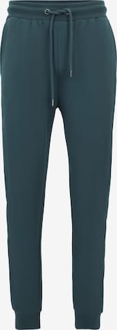 Loosefit Pantalon de sport 'Plain Basic' Oldskull en vert : devant