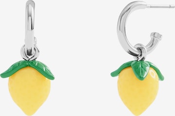 geltona COACH Auskarai: priekis