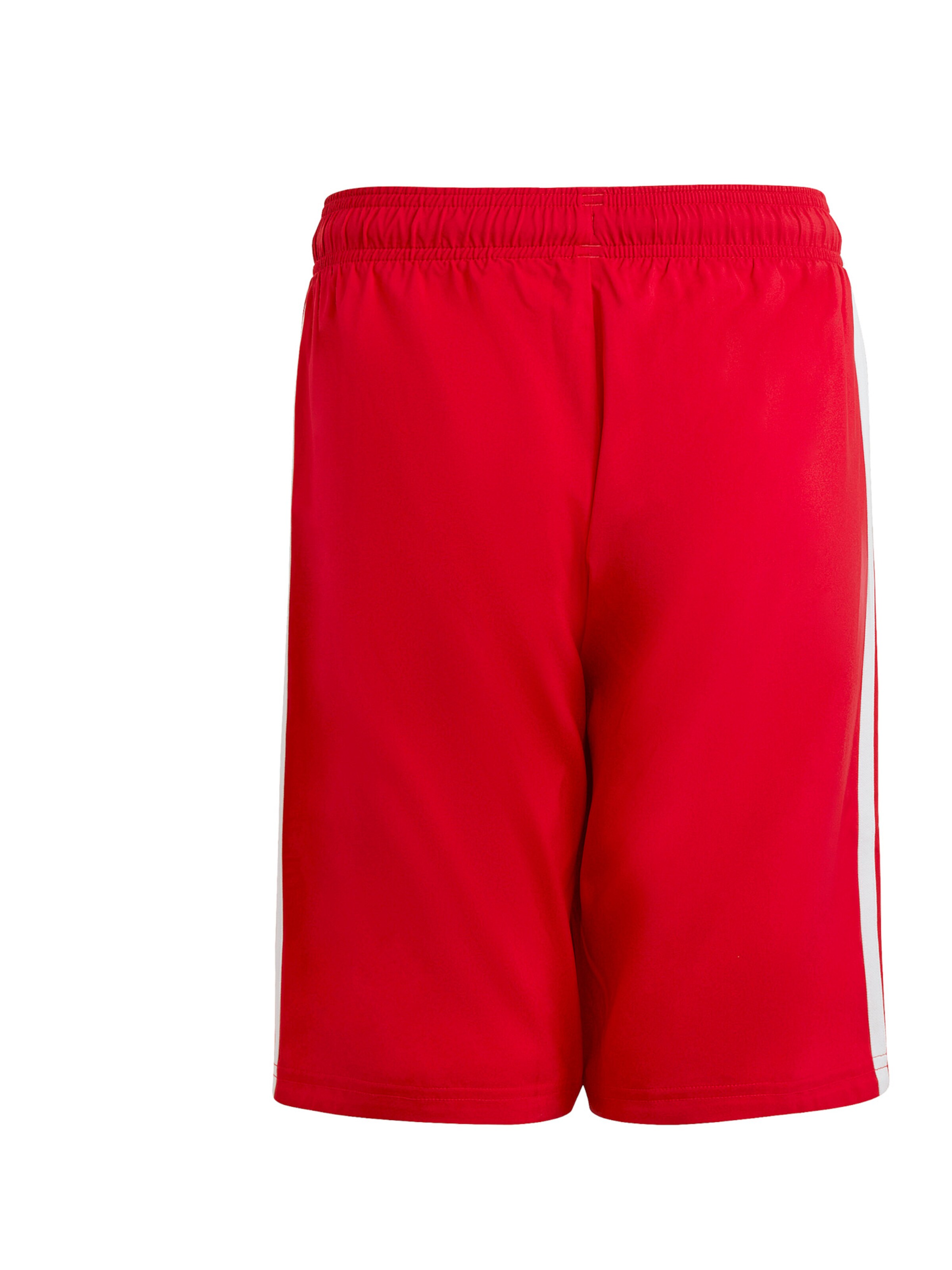 ADIDAS PERFORMANCE Regular Workout Pants in Red