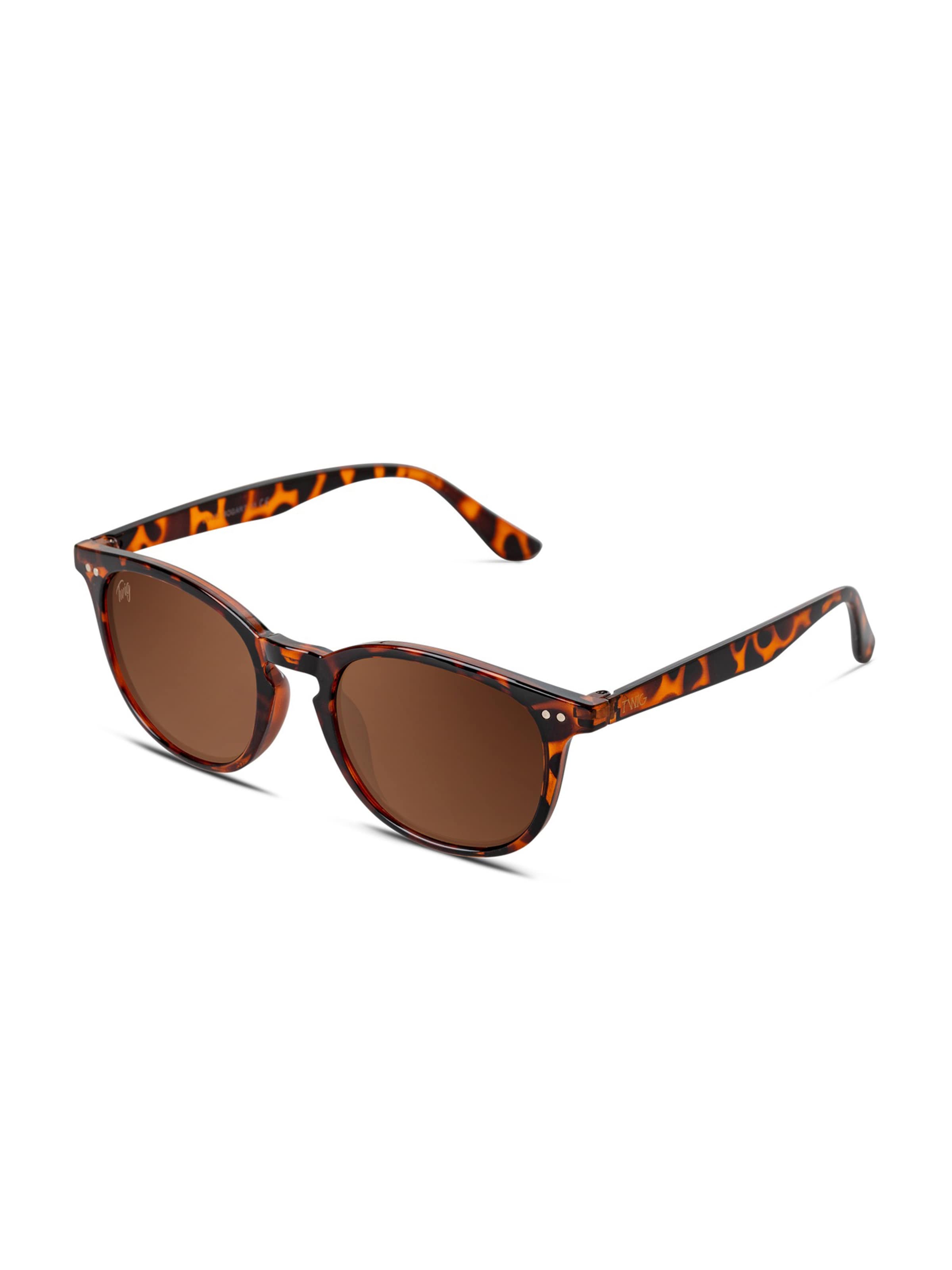 TWIG Concept Milano Sunglasses 'Bogart' in Brown: front