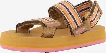 REEF Sandals 'Little Ahi' in Yellow