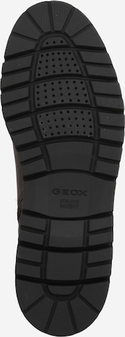 GEOX Boots med snörning 'GHIACCIAIO' i brun