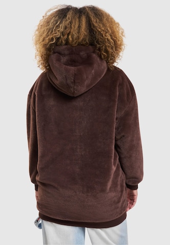 Karl Kani Sweatshirt 'Varsity' in Bruin