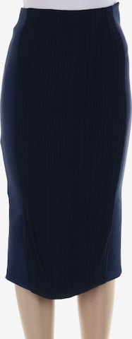 Stella McCartney Skirt in XS in Blue: front