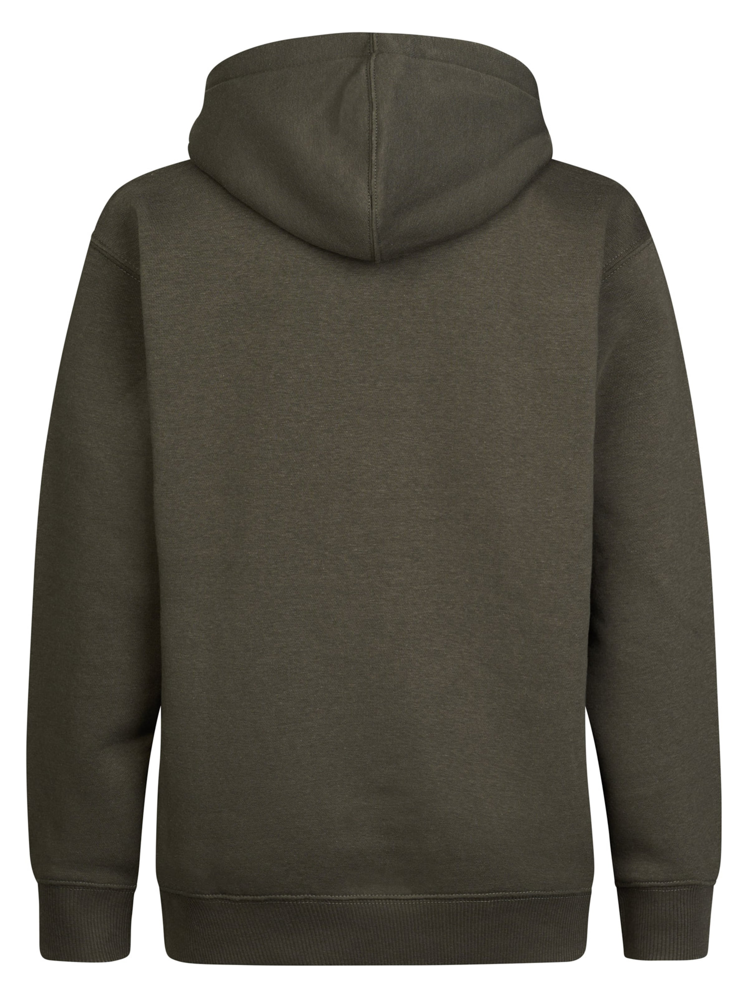 Petrol Industries Sweatshirt in Grau