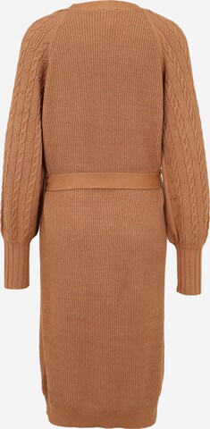 OBJECT Tall Knitted dress 'IVY' in Brown