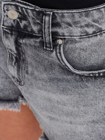 Dilvin Regular Broek in Grijs