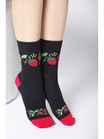 Chaussettes 'ANNIKA cotton socks' Sokisahtel en mélange de couleurs : devant