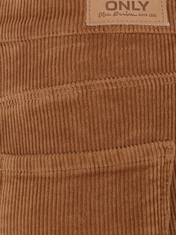 Only Petite Boot cut Pants in Brown