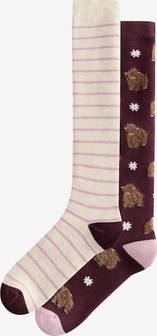 Next Гольфы в Бежевый: спереди