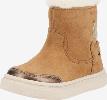 GEOX Boots in Brown: front