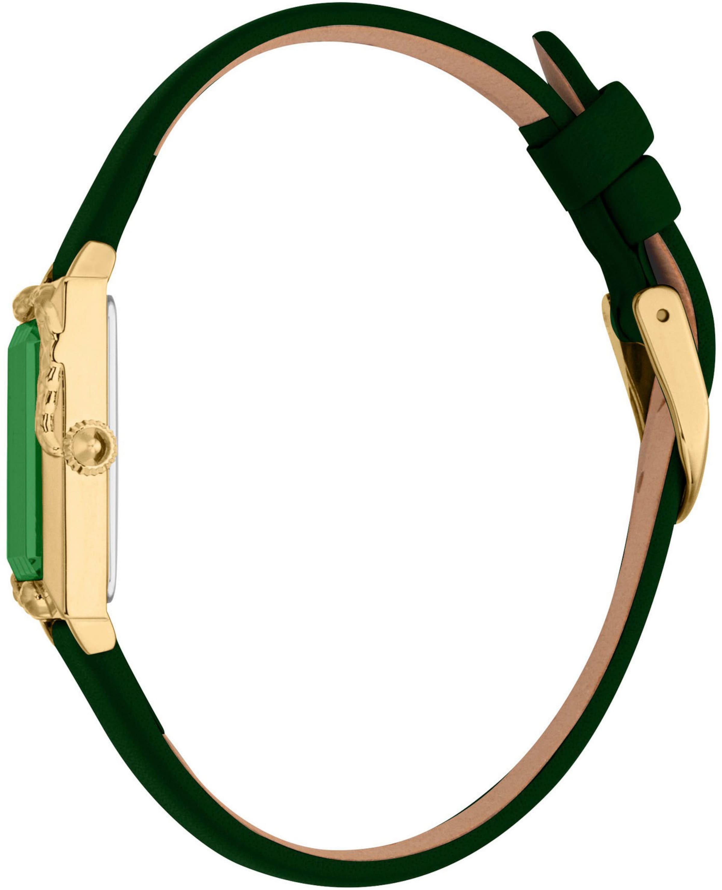 Just Cavalli Time Analog Watch in Green