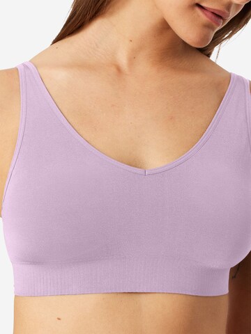 Bustier Soutien-gorge ' Classic Seamless ' SCHIESSER en violet