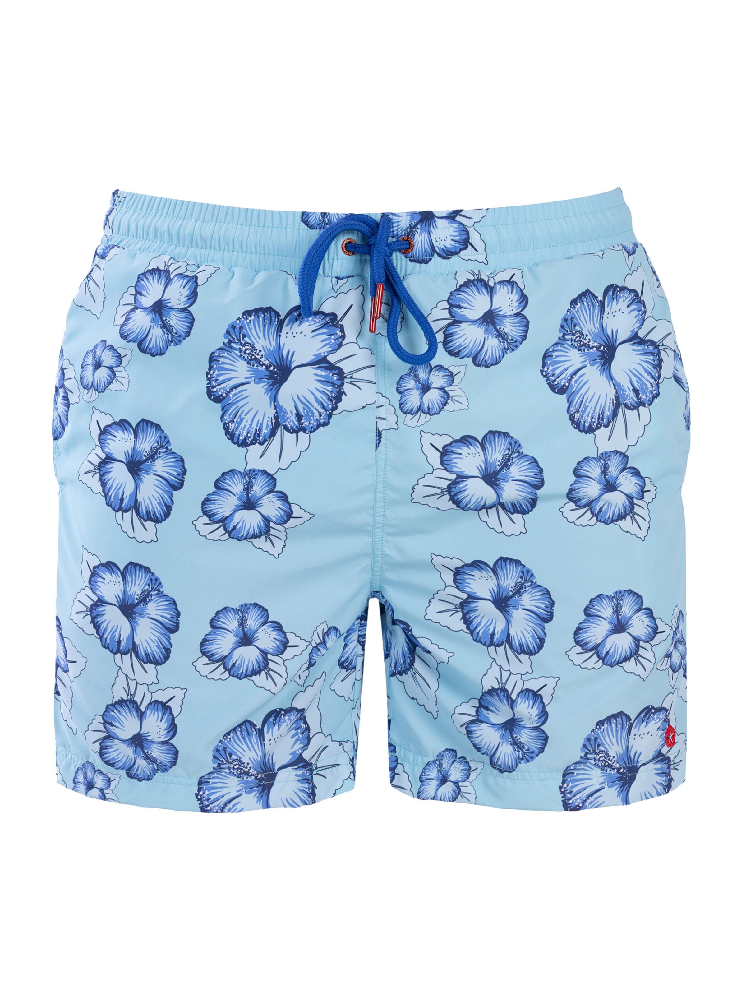 Frozen Cape Boardshorts in Blauw: voorkant