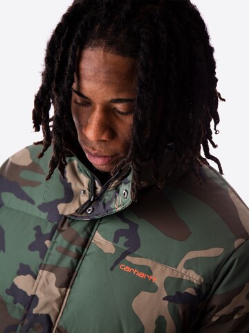 Carhartt WIP Winter Jacket 'Danville' in Green