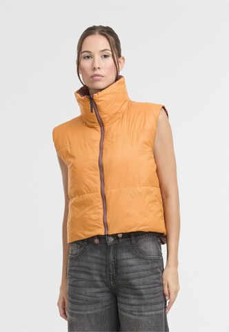 Noisy may Vest 'NMAles' in Brown