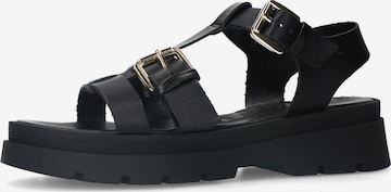 Sandales SACHA en noir : devant