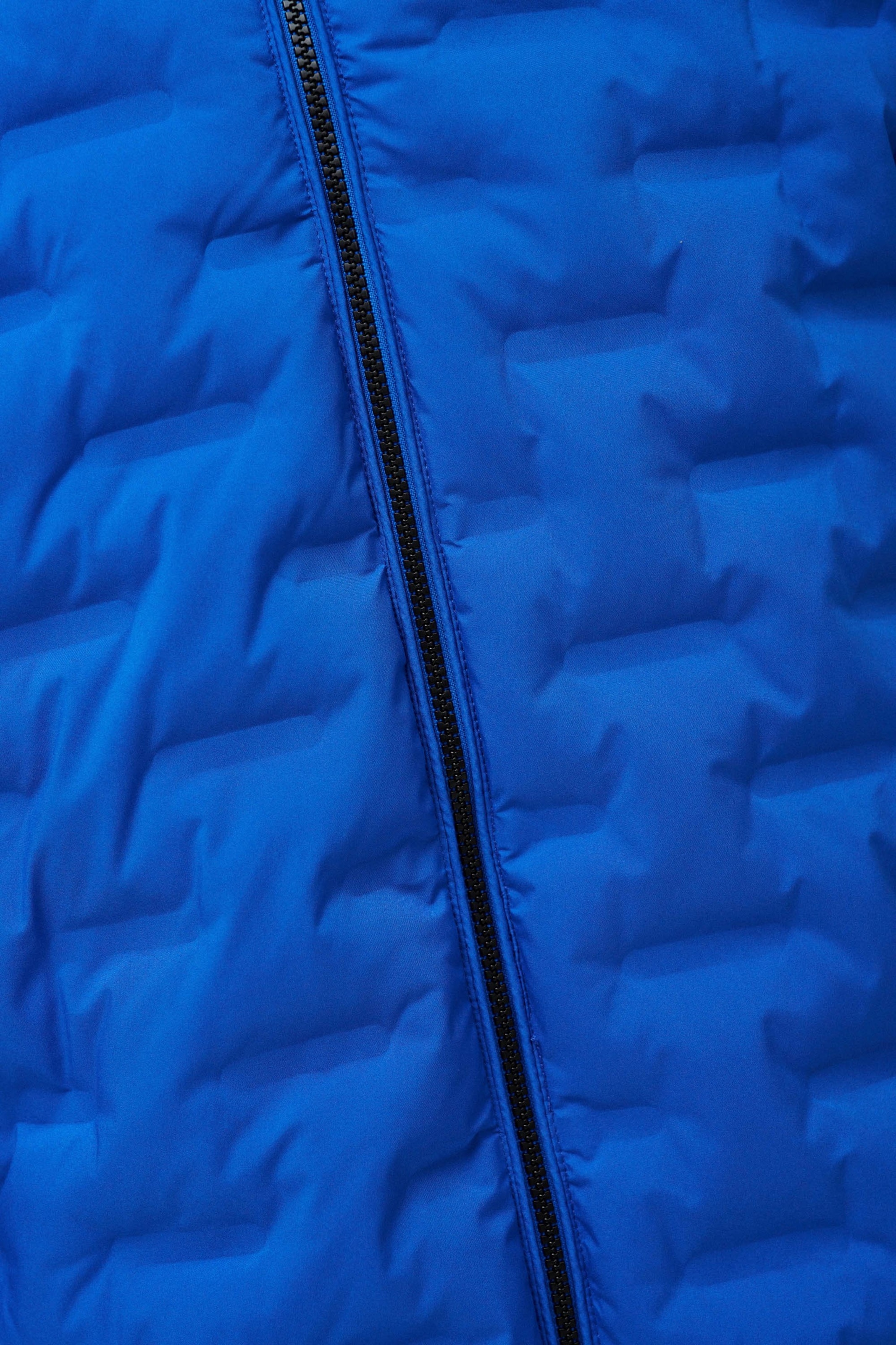 Salsa Jeans Winter jacket in Blue