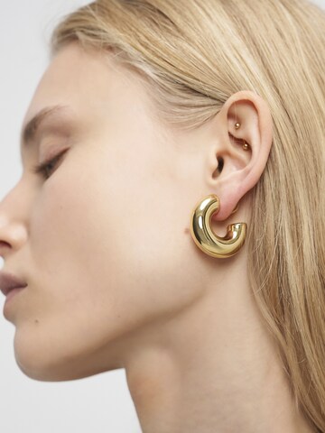 Liebeskind Berlin Ohrringe in Gold