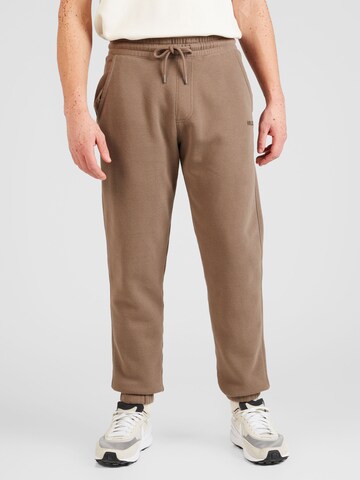 Tapered Pantaloni di HOLLISTER in marrone: frontale