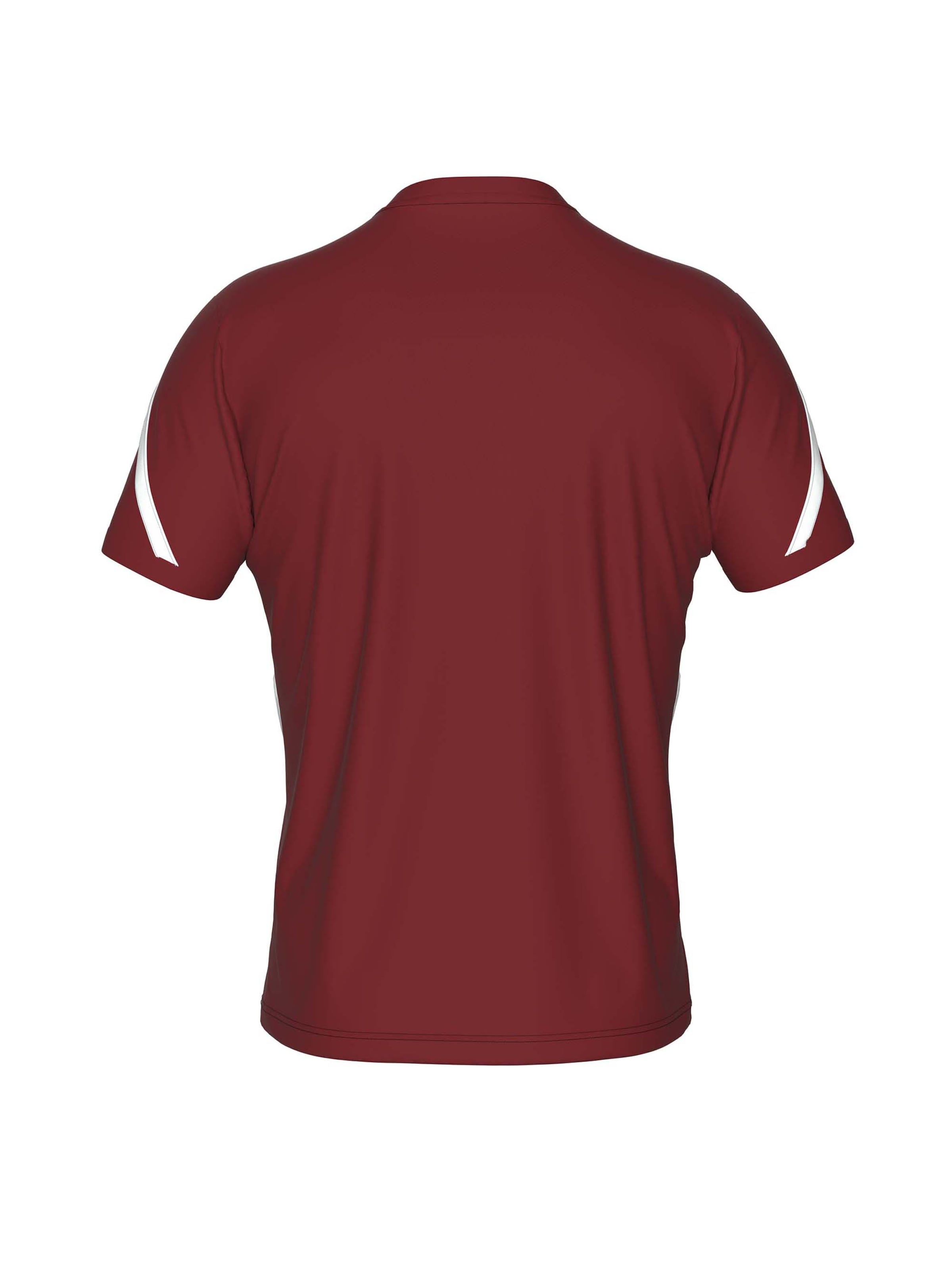 T-Shirt fonctionnel 'CURTIS' Errea en marron