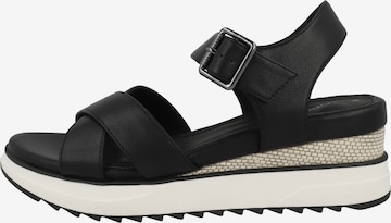 s.Oliver Sandals in Black