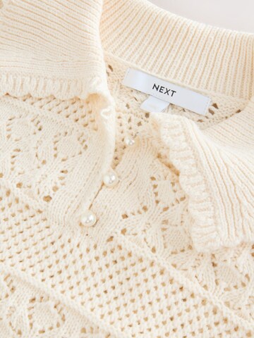 Next Pullover in Beige