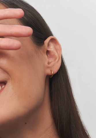 Stilnest Earrings in Gold: front