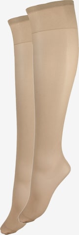 Esda Fine Stockings in Beige