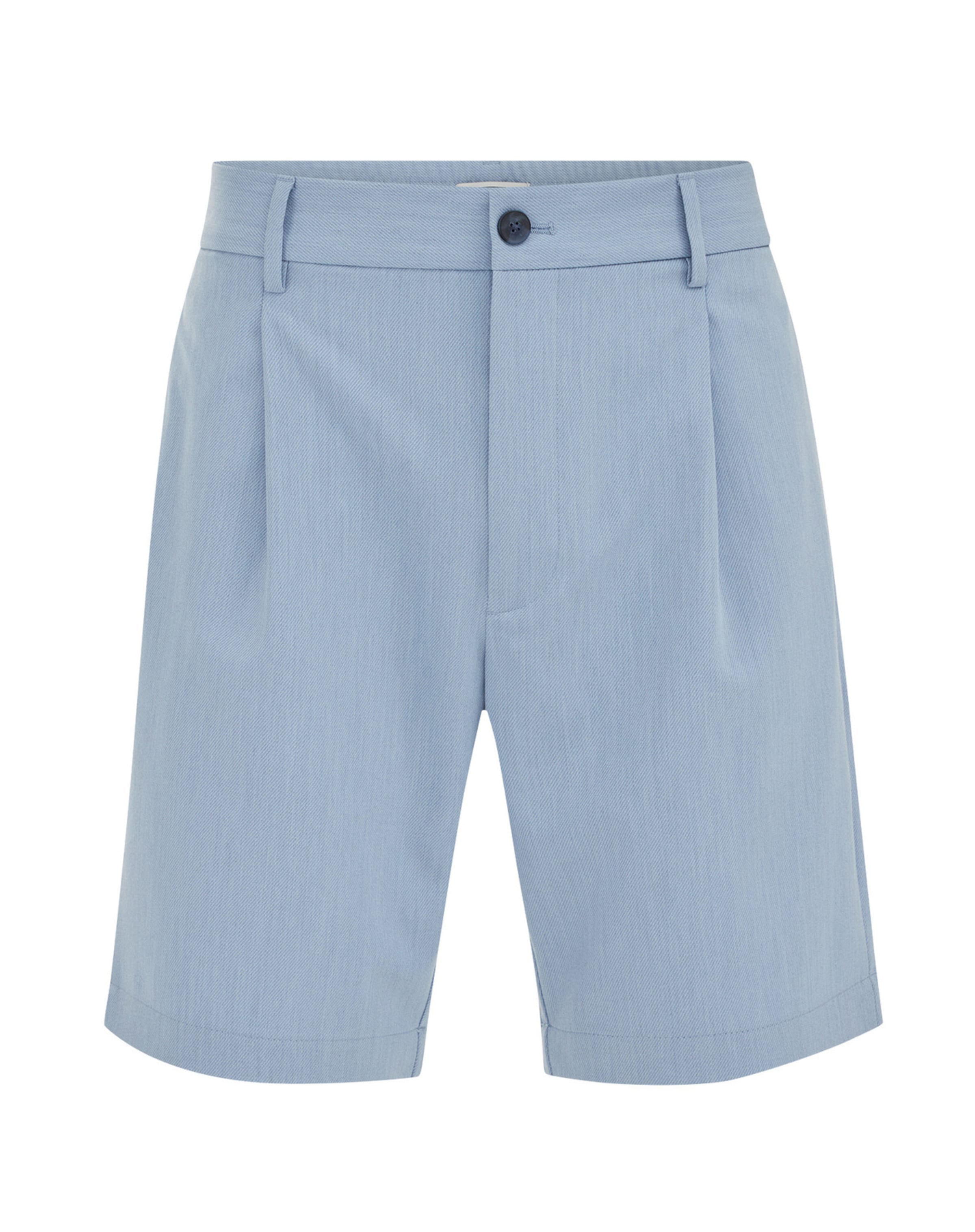 WE Fashion Свободный крой Брюки со складками в Синий: спереди