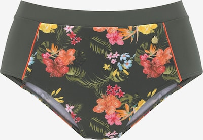LASCANA Bikini donji dio 'Tahiti' u miks boja, Pregled proizvoda