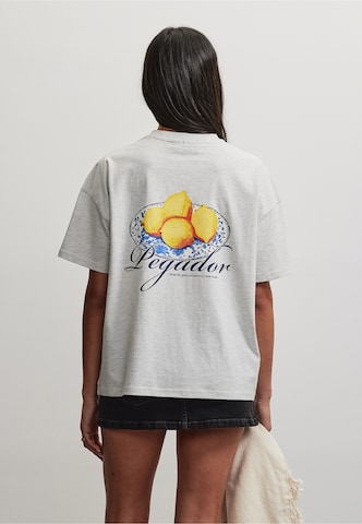 Pegador - Camiseta 'Mdina' en gris: frente
