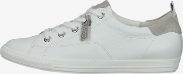 Paul Green Sneakers in White